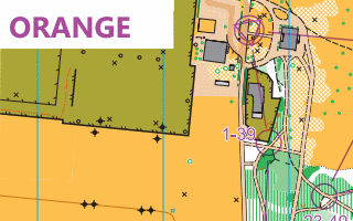 Circuit Orange